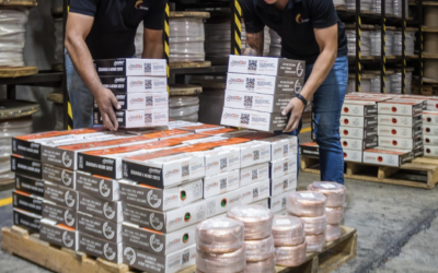 Cables CONDUCCASA: Instalaciones Seguras y Certificadas para tu Obra